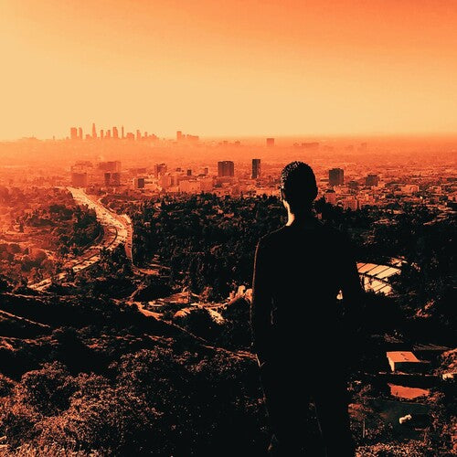 Zylberman, David / Dam-Funk: Welcome To L.a. B/w City Of Angels