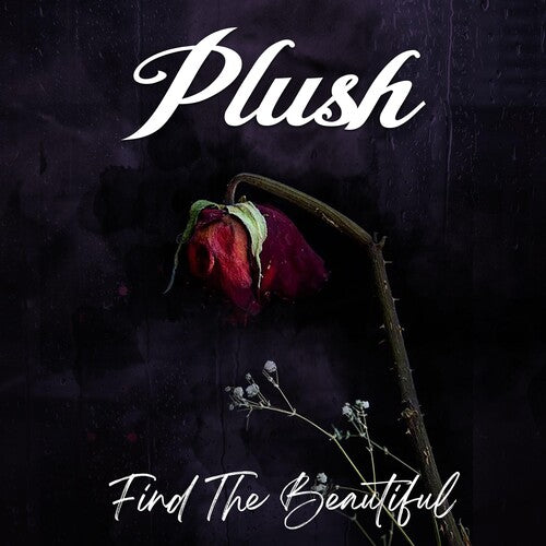 Plush: Find The Beautiful
