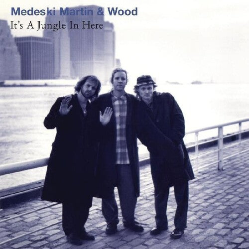 Medeski, Martin & Wood: It's A Jungle In Here