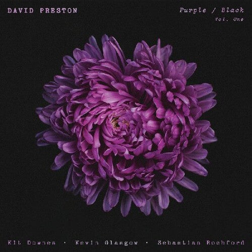 Preston, David: Purple / Black Vol.1