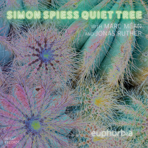 Simon Spiess Quiet Tree: Euphorbia