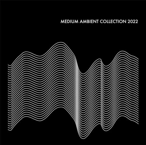 Medium Ambient Collection 2022 / Various: Medium Ambient Collection 2022 (Various Artists)