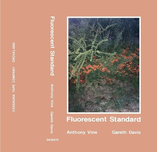 Vine, Anthony / Davis, Gareth: Fluorescent Standard