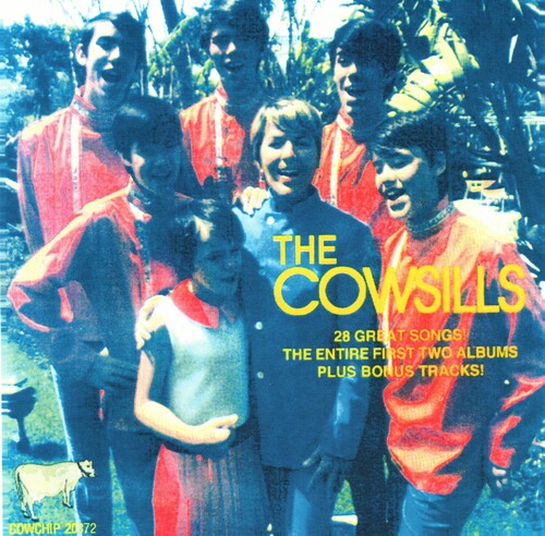 Cowsills: Cowsills-We Can Fly