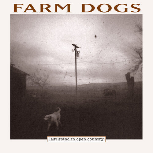Farm Dogs: Last Stand In Open Country - VINYL LP