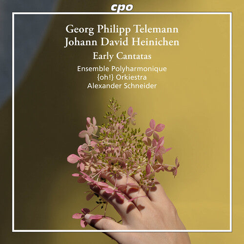 Ensemble Polyharmonique: Heinichen & Telemann: Early Cantatas - COMPACT DISCS
