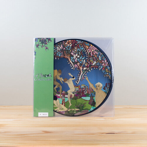 Of Montreal: Skeletal Lamping (Picture Disc Edition)