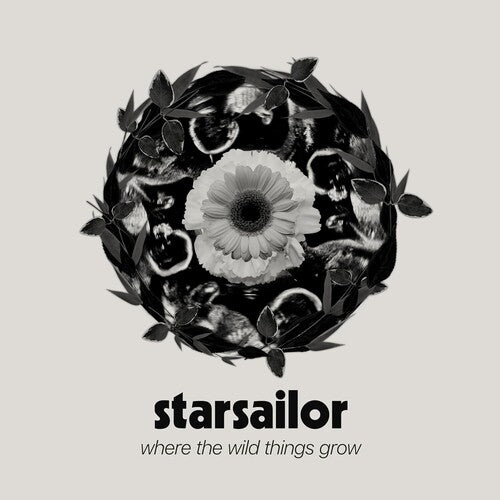 Starsailor: Where The Wild Things Grow