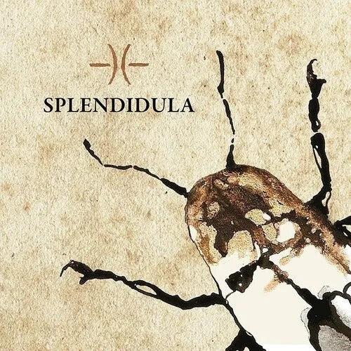 Splendidula: Splendidula