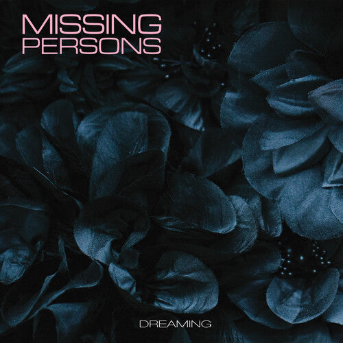 Missing Persons: Dreaming