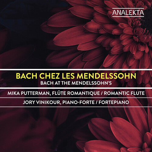 Putterman, Mika / Vinikour, Jory: Bach Chez Les Mendelssohn