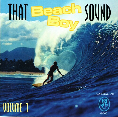 That Beach Boy Sound 1 / Various: That Beach Boy Sound, Vol. 1