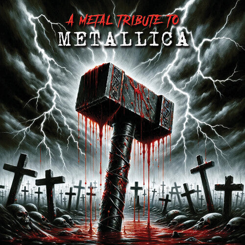 Metal Tribute to Metallica / Various: A Metal Tribute to Metallica (Various Artists)
