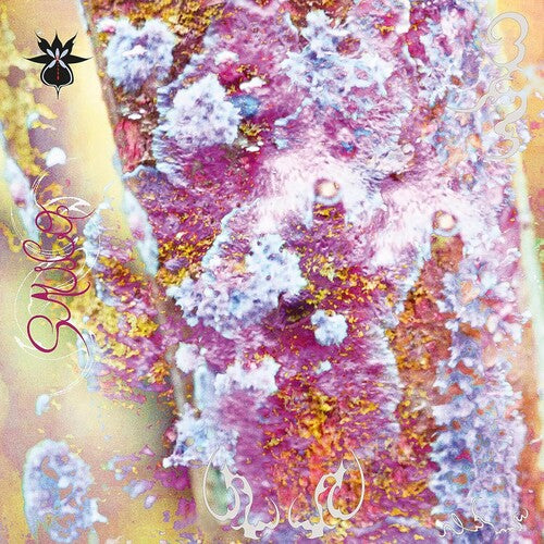 Qoa: Sauco - VINYL LP