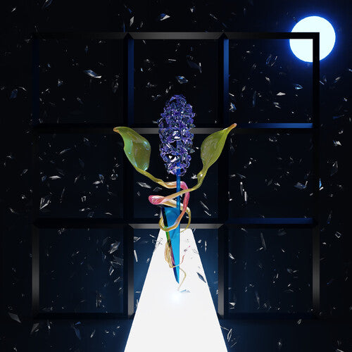 Darian Thomas: A Room With Many Doors : Night - VINYL LP