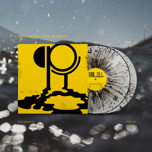 Hippo Campus: Flood - Clear Galaxy - VINYL LP