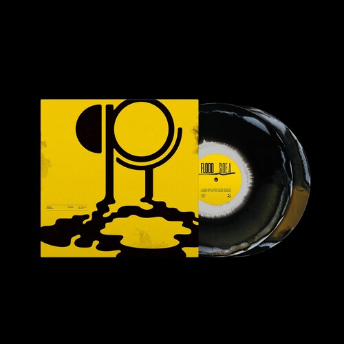 Hippo Campus: Flood - Abstract - VINYL LP