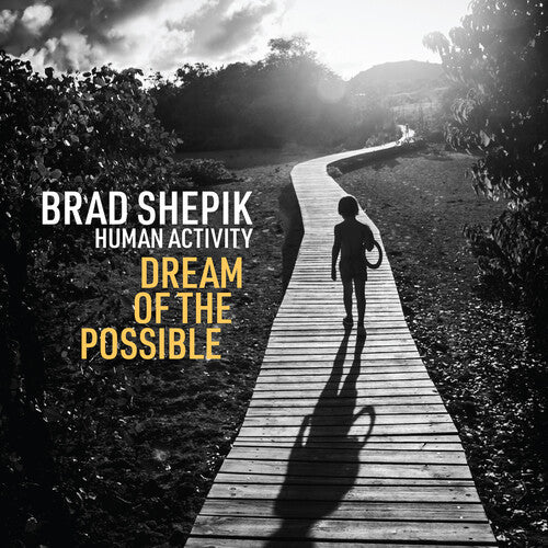 Shepik, Brad: Human Activity: Dream of the Possible