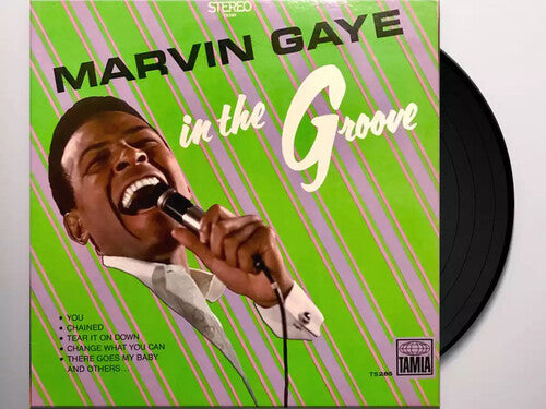 Gaye, Marvin: In The Groove