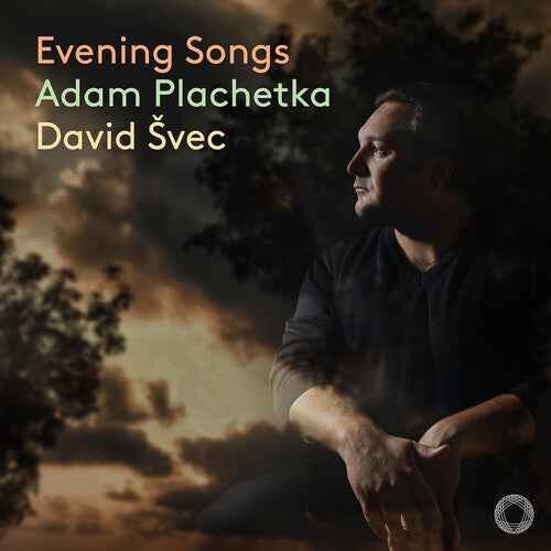 Dvorak / Smetana / Suk / Plachetka: Dvorak, Fibich, Smetana & Suk: Evening Songs