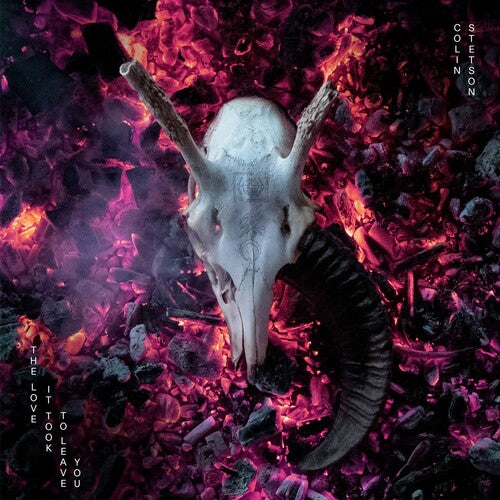 Stetson, Colin: The Love It Took To Leave You