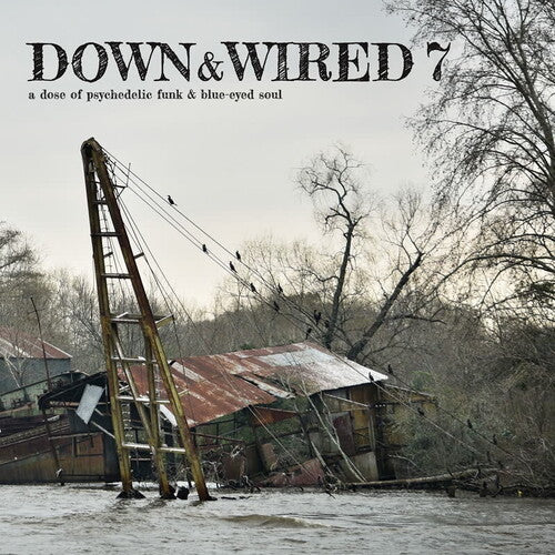 Down & Wired 7 / Various: Down & Wired 7 (Various Aritst)