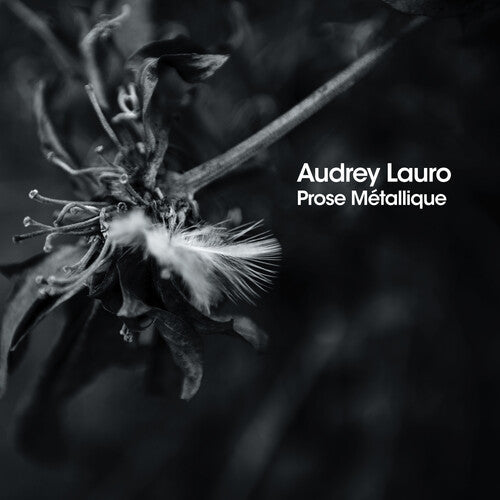 Lauro, Audrey: Prose Metalliqe