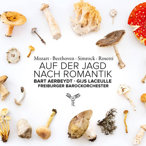Freiburger Barockorchester: Auf Der Jagd Nach Romantik - COMPACT DISCS