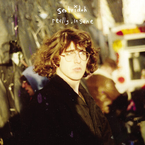 Sentridoh: Really Insane : A Lou Barlow Compendium