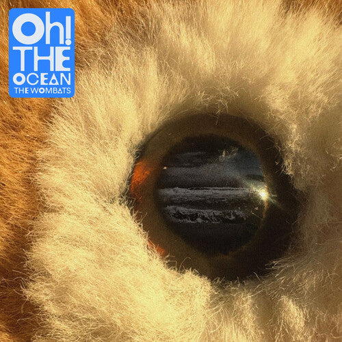 The Wombats: Oh! The Ocean - COMPACT DISCS