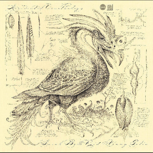 Sarah Belle Reid: Accidental Ornithology - COMPACT DISCS