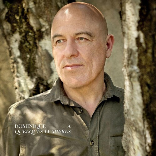 Dominique A: Quelques Lumieres - VINYL LP