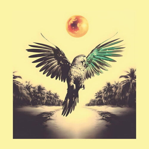 Sam Nobrega: Ponta de Dois Lados - VINYL LP