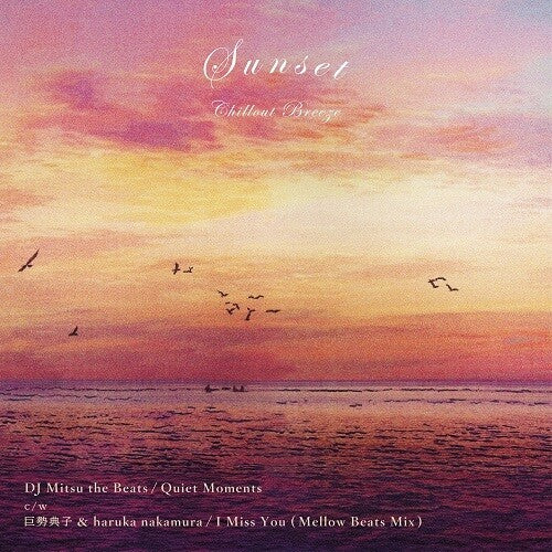 DJ Mitsu the Beats: Quiet Moments / I Miss You (Mellow Beats Mix) - 7-INCH SINGLE