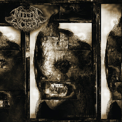 Indecent Excision: Into The Absurd - COMPACT DISCS