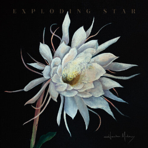 Heather Maloney: Exploding Star - COMPACT DISCS