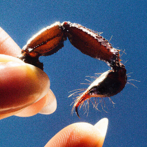 Squid: Cowards - COMPACT DISCS