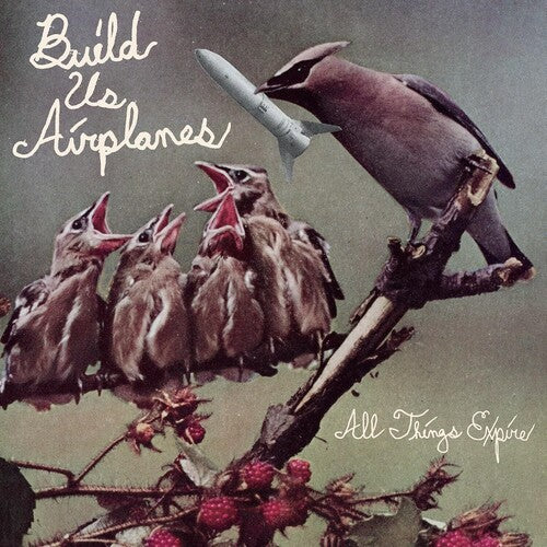 Build Us Airplanes: All Things Expire - VINYL LP