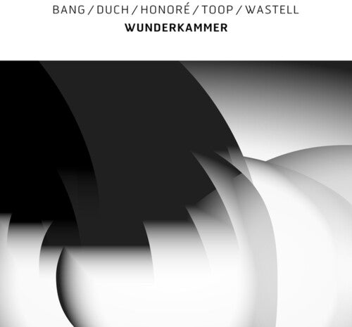 Bang / Duch / Honor / Toop / Wastell: Wunderkammer - White Colored Vinyl