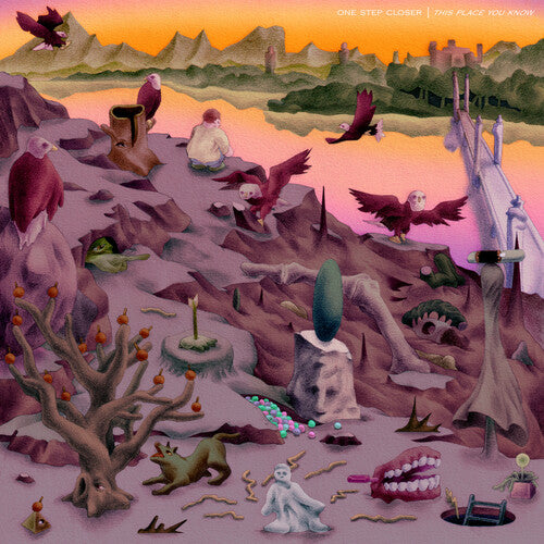 One Step Closer: This Place You Know - Pink - VINYL LP