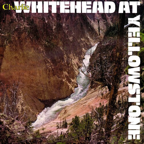 Whitehead, Charlie: Whitehead At Yellowstone