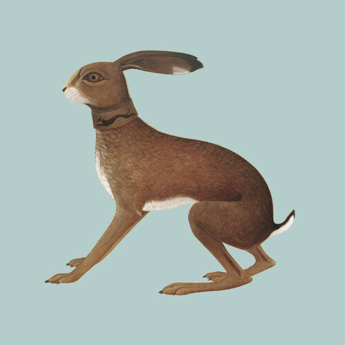 Vashti Bunyan: Lookaftering - Expanded - COMPACT DISCS