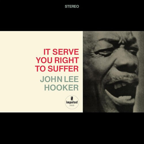 Hooker, John Lee: It Serve You Right To Suffer (Verve Acoustic Sounds Series)