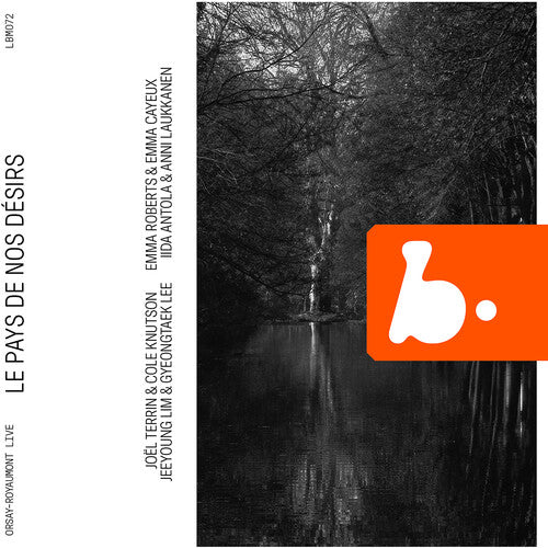 Anni Laukkanen: Le Pays de nos Desirs - COMPACT DISCS