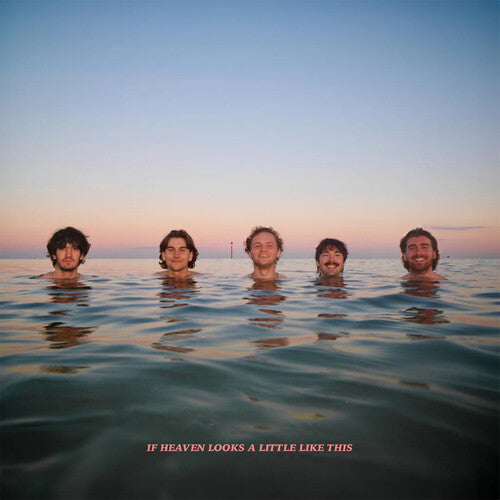 Delights: If Heaven Looks A Little Like This - Orange Colored Vinyl - VINYL LP