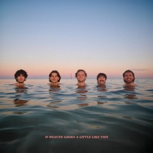 Delights: If Heaven Looks A Little Like This - Digipak - COMPACT DISCS