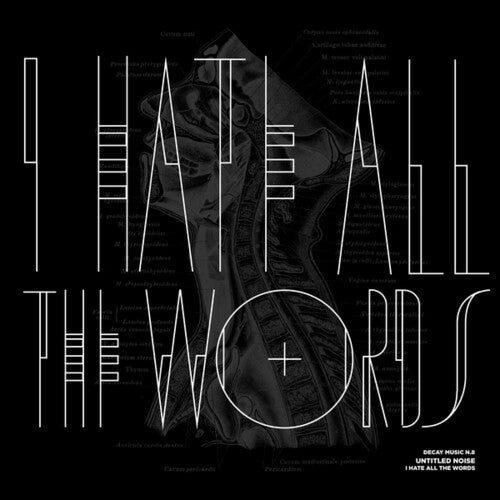Untitled Noise: Decay Music n.8: I Hate All the Words - VINYL LP