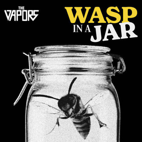 The Vapors: Wasp In A Jar - COMPACT DISCS