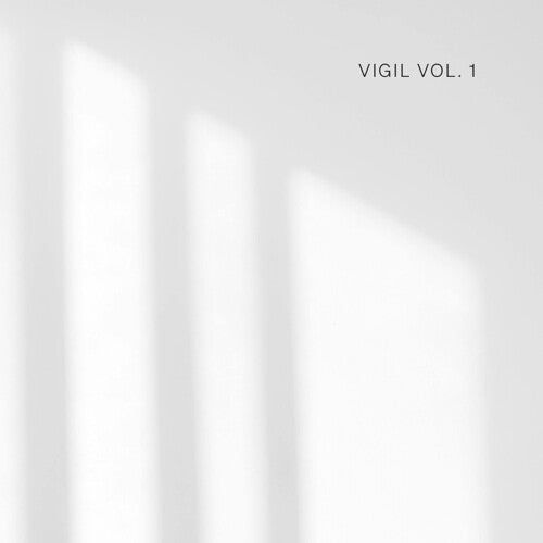 Vigil: Vigil, Vol. 1