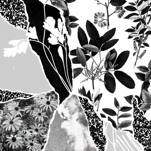 Ponctuation: Mon Herbier Du Monde Entier - COMPACT DISCS